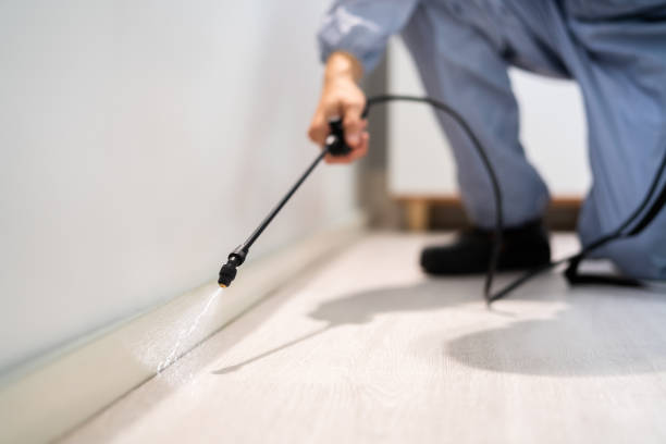 Professional Pest Control in Point Of Rocks, MD